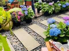 -大隐花事(熊婆婆的花园店)