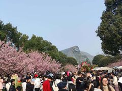 -南山植物园
