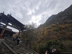 -小五台金河景区