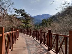 -崂山九水游览区