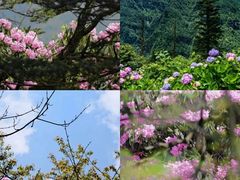 -白沙门生态公园