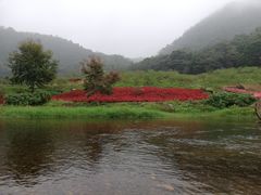 -广州市石门国家森林公园
