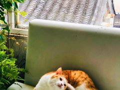 -小时光咖啡馆(北锣鼓巷店)