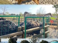 -苏州太湖西山岛开心农场