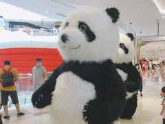 -武汉光谷K11