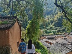 -杨家堂村