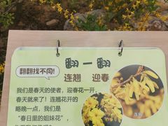 -佛慧山