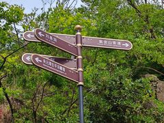 -紫金山山顶公园