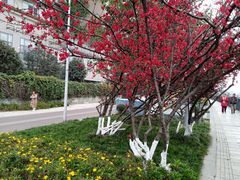 -成都市活水公园