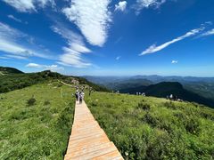 -白草畔自然风景区