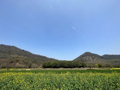 -八卦田遗址公园