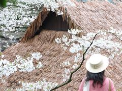 -中国茶叶博物馆(双峰馆区)
