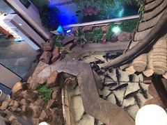 -春盛渔府(牛首山店)