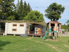 -前小桔亲子创意农场·草莓采摘·露营烧烤