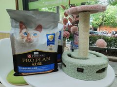 -瑞鹏宠物医院犬猫全科(真大分院)