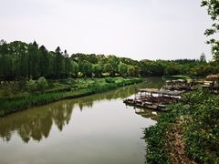 -上海长兴岛郊野公园