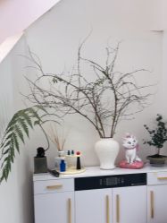 -WENDY·温迪皮肤管理