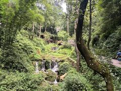 -青城山