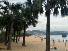 -大梅沙海滨公园