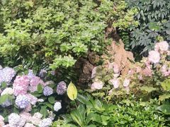 -颐而康·按摩·艾灸·足疗(汽车东站店)