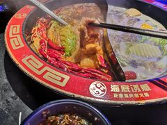 -海底诱惑(中骏世界城店)