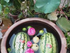 -阿甘龙虾·重庆麻麻鱼(中豪店)