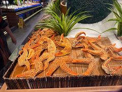 -焰江山海鲜牛排烤肉自助(锦华万达二星店)