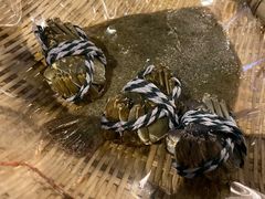 大闸蟹-日进一片海.生腌海鲜火锅.宵夜烧烤(三里屯总店)