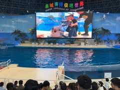 -泉城欧乐堡海洋极地世界