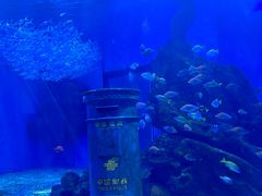 -海合安武汉极地海洋公园
