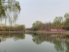 -大兴滨河森林公园