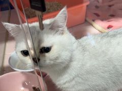 -FAELING PETS美天灵宠物(富力广场店)