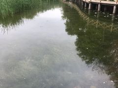 -云岗森林公园