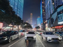 -胡仁根胡记炸炸炸