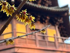 -慧因高丽寺