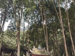 -青城山
