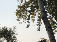 -莲湖公园