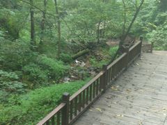 -天女山森林公园
