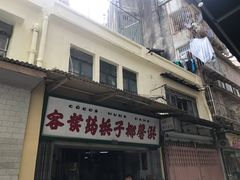 -洪馨椰子
