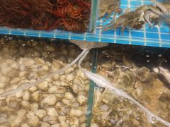 -港畔赶海蒸汽海鲜烧烤自助(仙螺岛店)