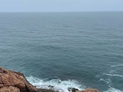 -广东惠东海龟国家级自然保护区