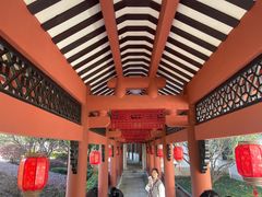 -广东花都湖国家湿地公园