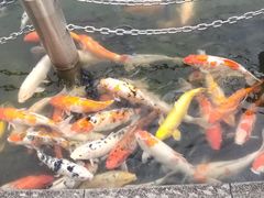-铂尔登国际酒店(南山深圳湾口岸店)