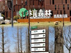 -黄海国家森林公园