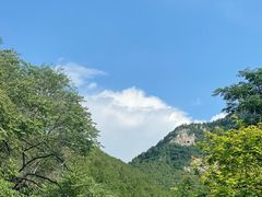 -佛慧山
