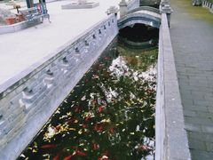 -关中书院