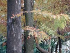 景点-晓港公园