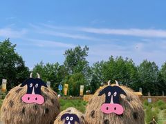 -中国天府农业博览园