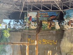 -清迈夜间动物园