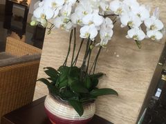 -天目湖御水温泉·度假酒店